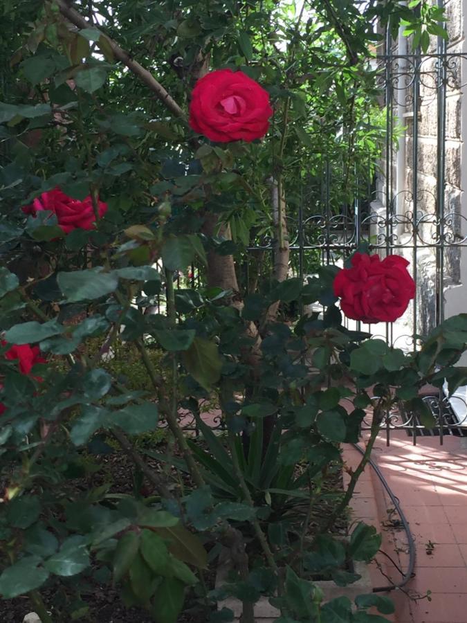 أوريستانو Villa Serra B&B Iun E6769 المظهر الخارجي الصورة